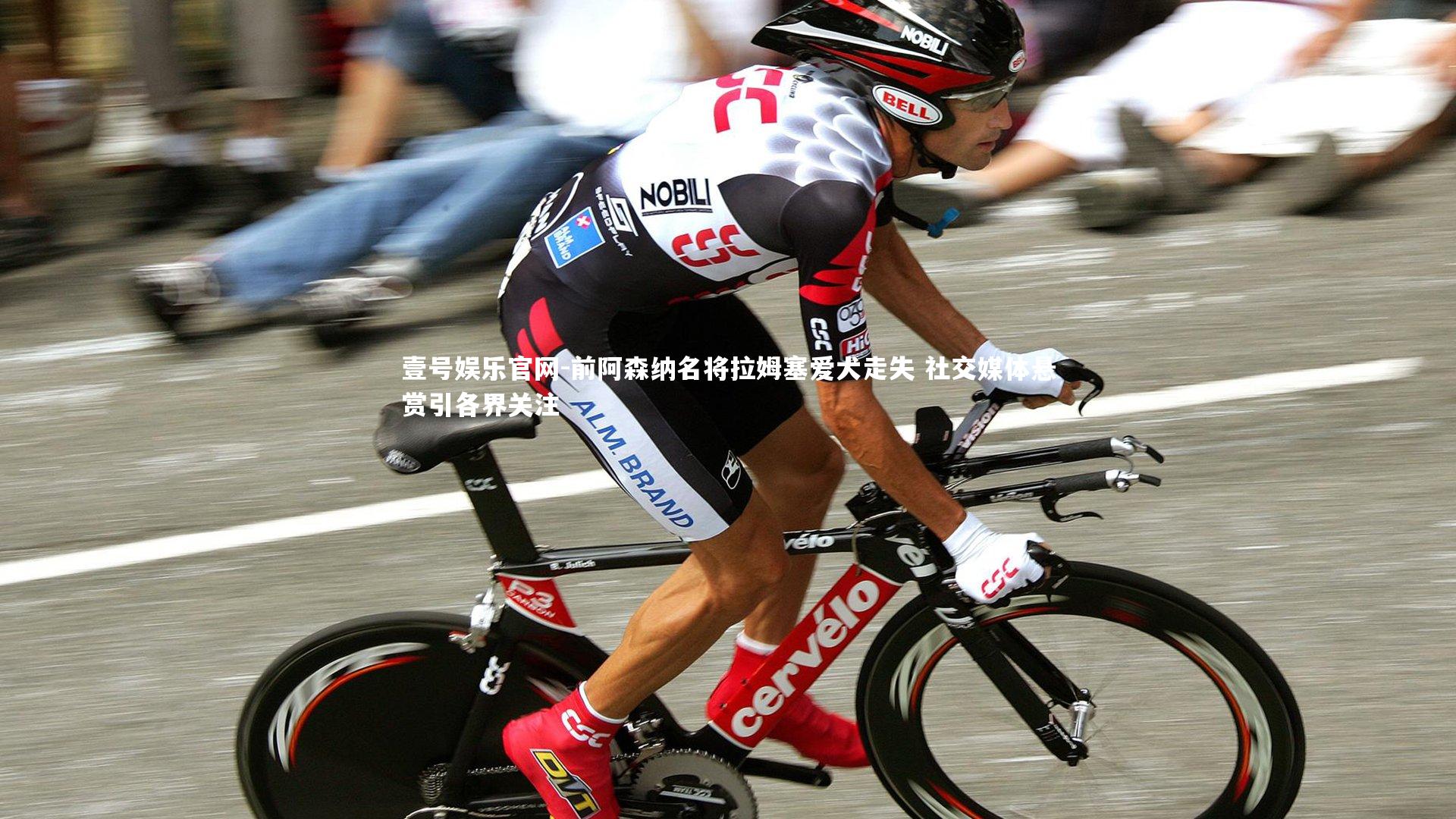 前阿森纳名将拉姆塞爱犬走失 社交媒体悬赏引各界关注