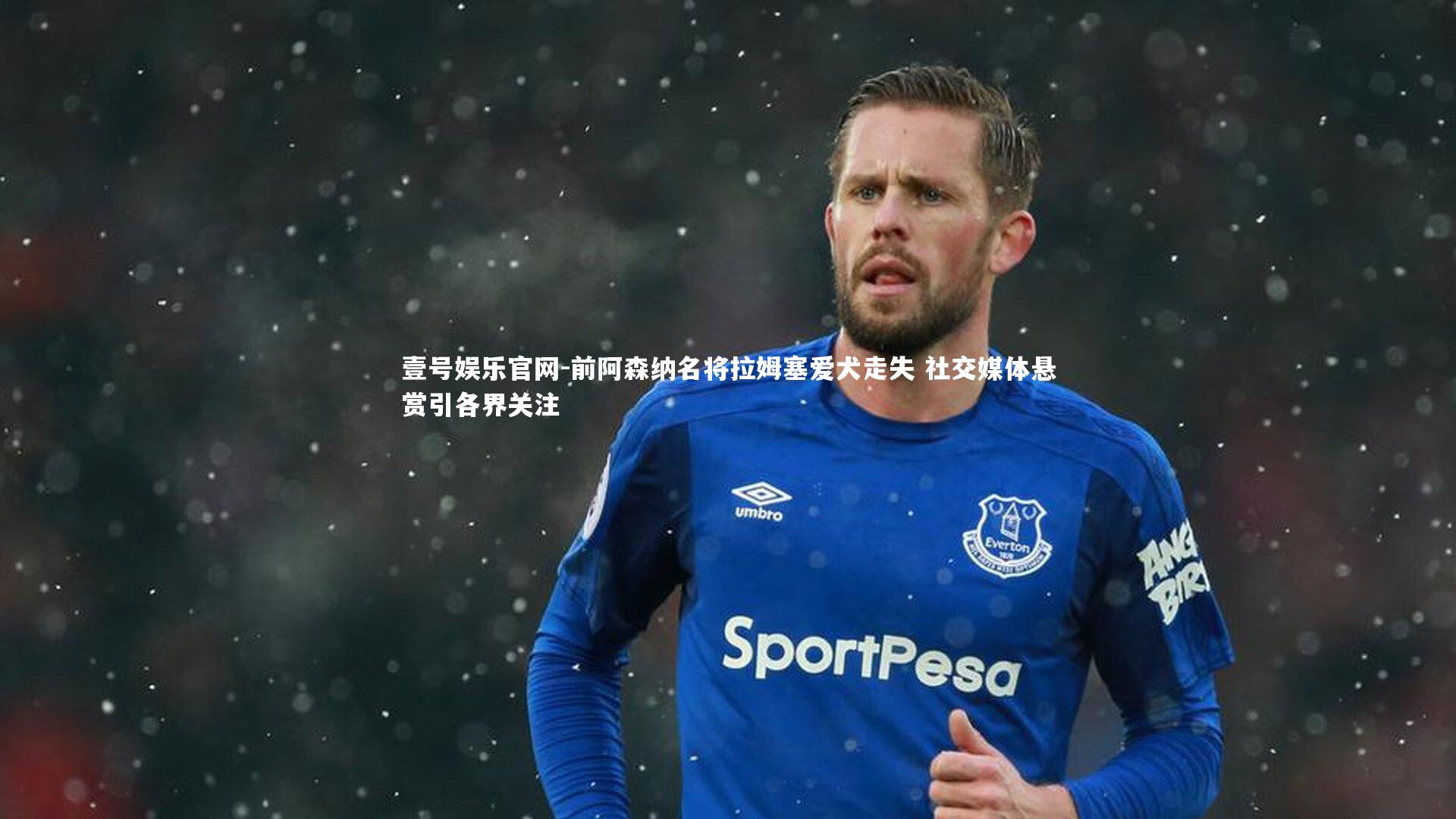 前阿森纳名将拉姆塞爱犬走失 社交媒体悬赏引各界关注